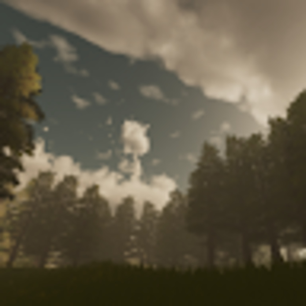 Meet your Posher, Naima